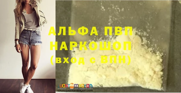 a pvp Пересвет