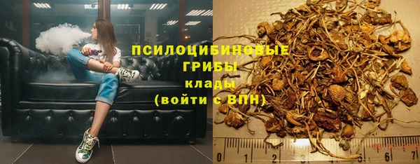 ПСИЛОЦИБИНОВЫЕ ГРИБЫ Балабаново