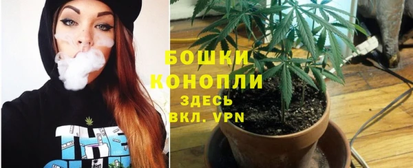 ПСИЛОЦИБИНОВЫЕ ГРИБЫ Балабаново