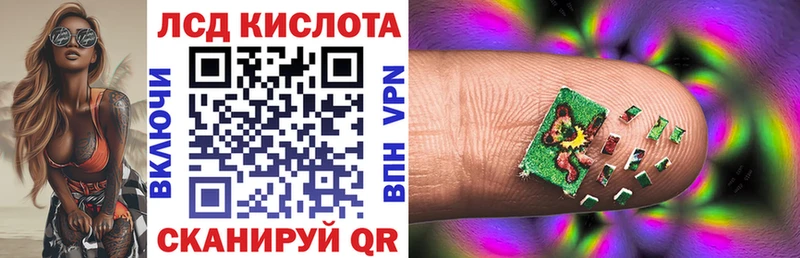 как найти   Славгород  Наркотические марки 1500мкг 